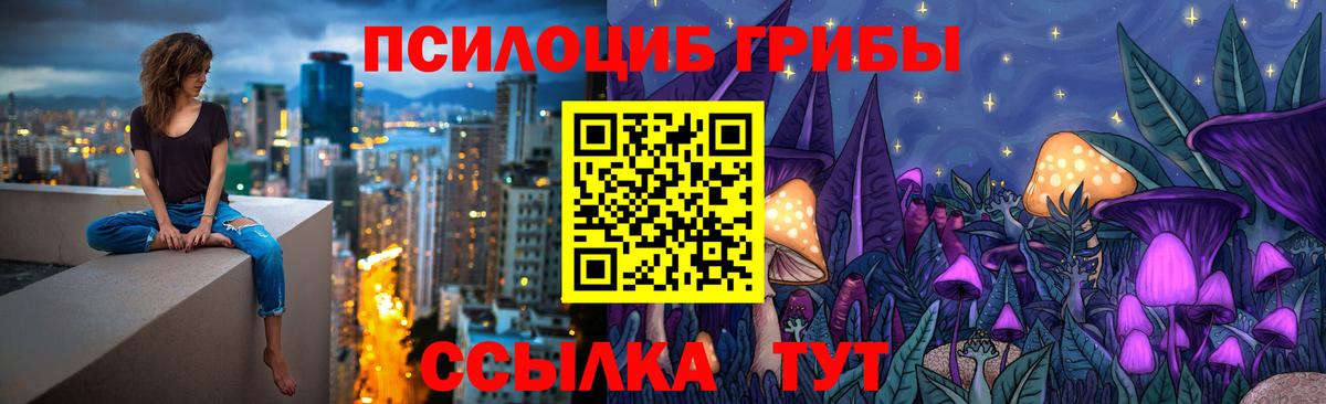 Галлюциногенные грибы Psilocybine cubensis  Вход с VPN  Конаково 
